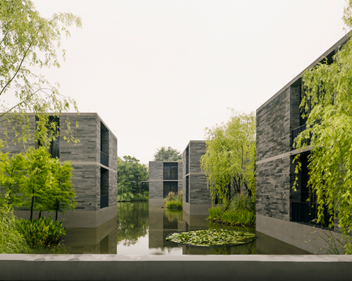 david chipperfield's floating homes emerge from the wetlands in china
