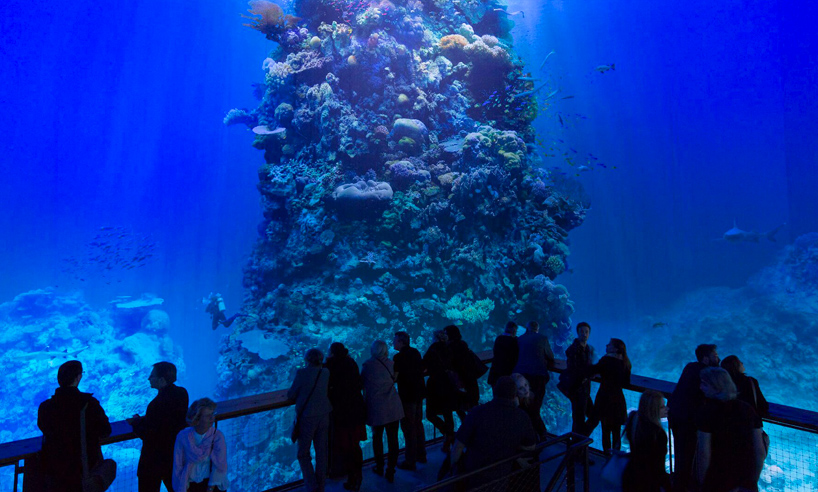 grip Pacifische eilanden Aanleg full-scale, 360° panorama of the great barrier reef surrounds visitors to the  panometer