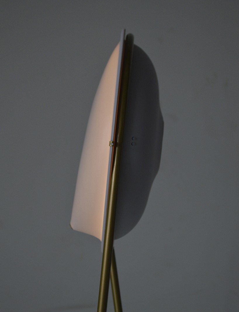 fabian zeijler momentum purificatum