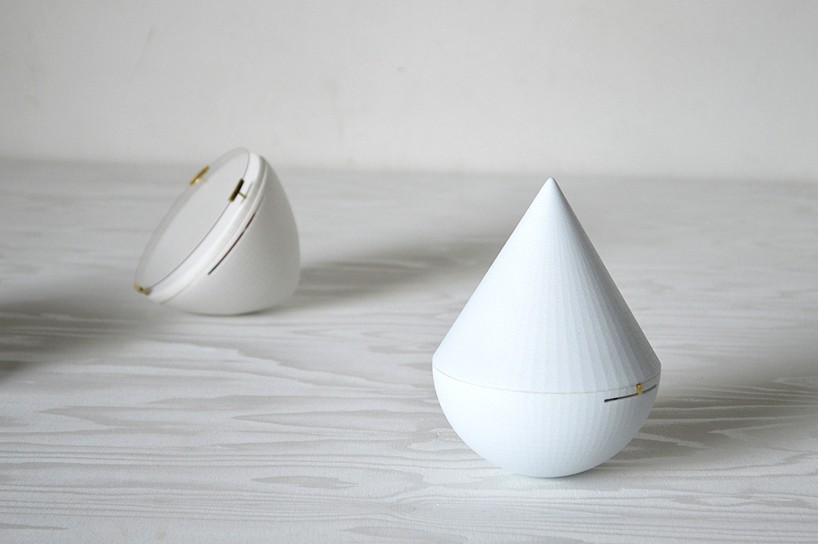 fabian zeijler momentum purificatum