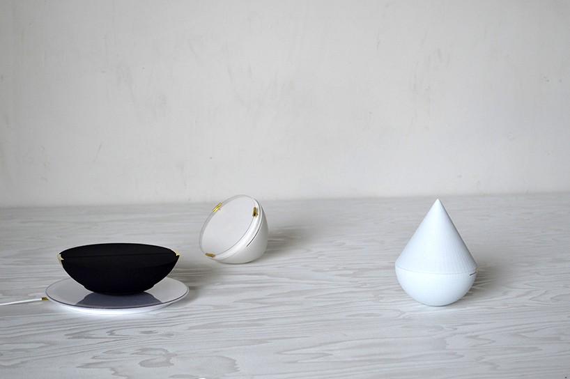 fabian zeijler momentum purificatum