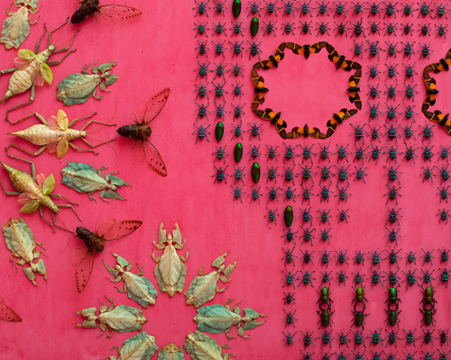 jennifer angus wallpapers renwick gallery with a pattern of 5,000 exotic bugs