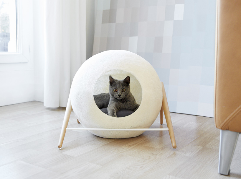 My modern hotsell met cat furniture