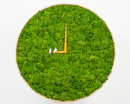 clock by noktuku brings nature home with real reindeer moss from norway