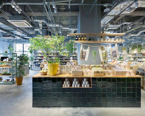 schemata architects encourages a sense of discovery within today's special store