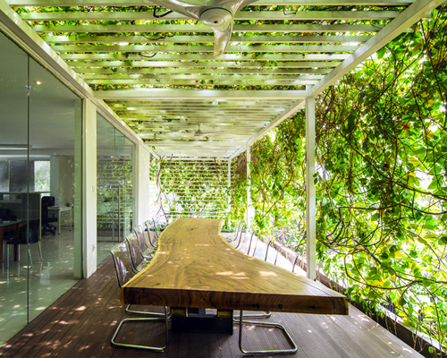 airmas asri architects adds greenery to their new expanded offices in jakarta