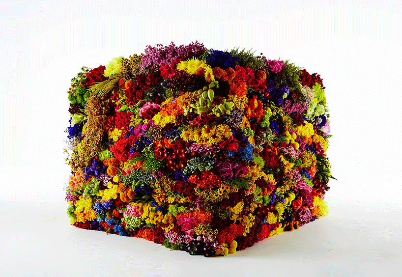 azuma makoto represents the stages of decomposition using flowers + leaves