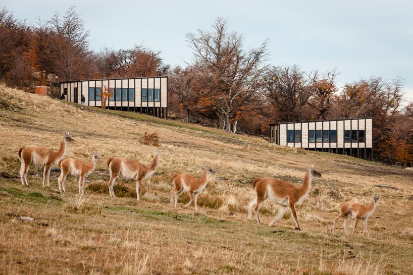 felipe assadi rests getaway lodges on the scenic hillside in patagonia