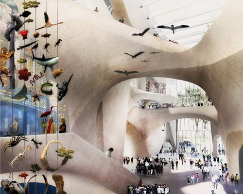 american museum of natural history reveals expansion plans by studio gang