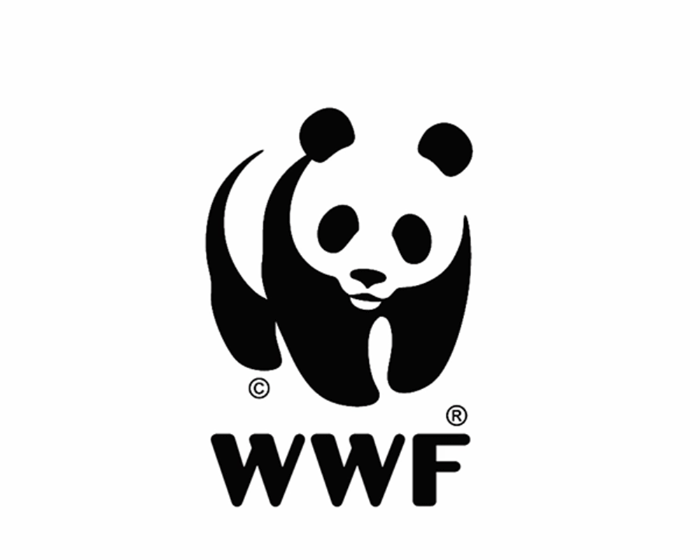 graphic designer turns WWF panda icon into other endangered species
