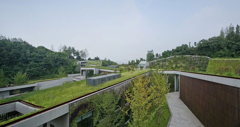 vector architects completes green-covered chongqing taoyuanju community center