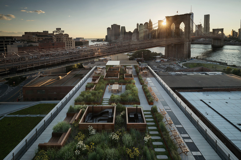 field operations tops brooklyn building with communal roof garden