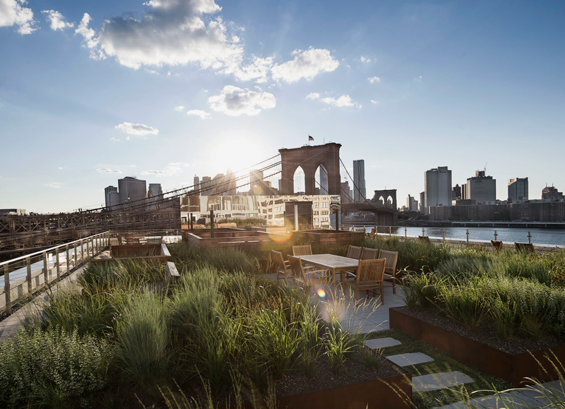 60 water apartments dumbo brooklyn roof garden james corner field operations designboom