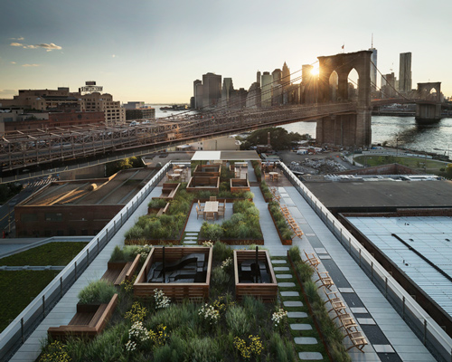 field operations tops brooklyn building with communal roof garden
