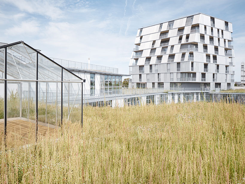 chartier dalix architectes builds green-roofed rosalind school and dormitory