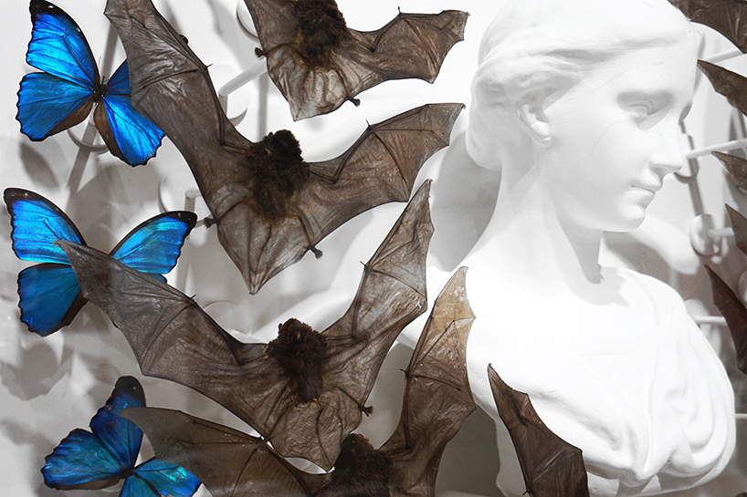 joseph grazi sculpts nightwatch with taxidermic bats and blue butterflies