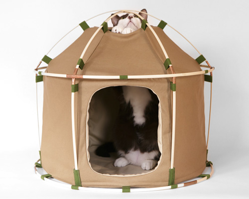 pitch your pet the perfect abode with the cat study house