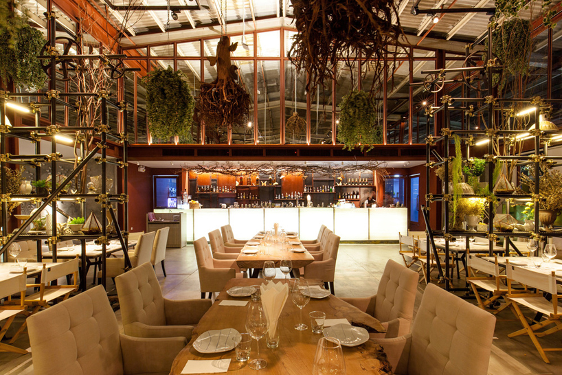 vivarium-restaurant-hypothesis-bangkok-designboom-02