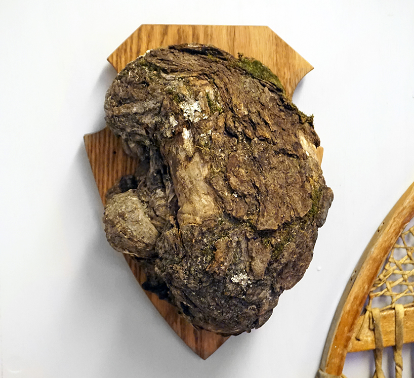 brothers-dressler-interior-design-show-ids-wood-designboom-012