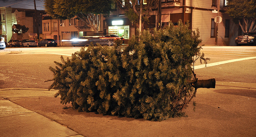 wei keong we used to discarded christmas trees series