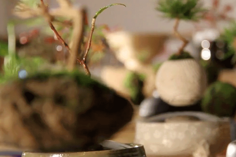 floating-air-bonsai-garden-by-hoshinchu-defies-gravity-designboom-03