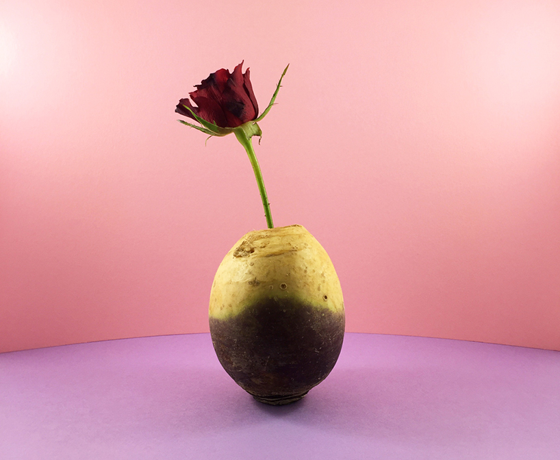 fruit-vegetable-vases-mundane-matters-danling-xiao-designboom-06