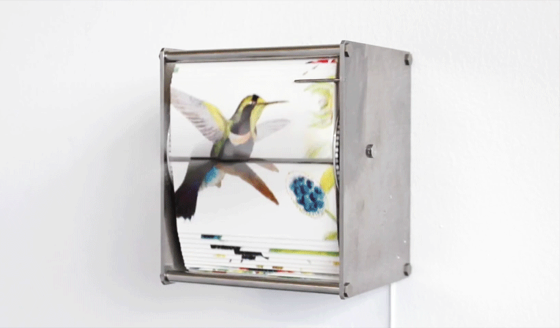 juan-fontanive-ornithology-danese-corey-designboom-01