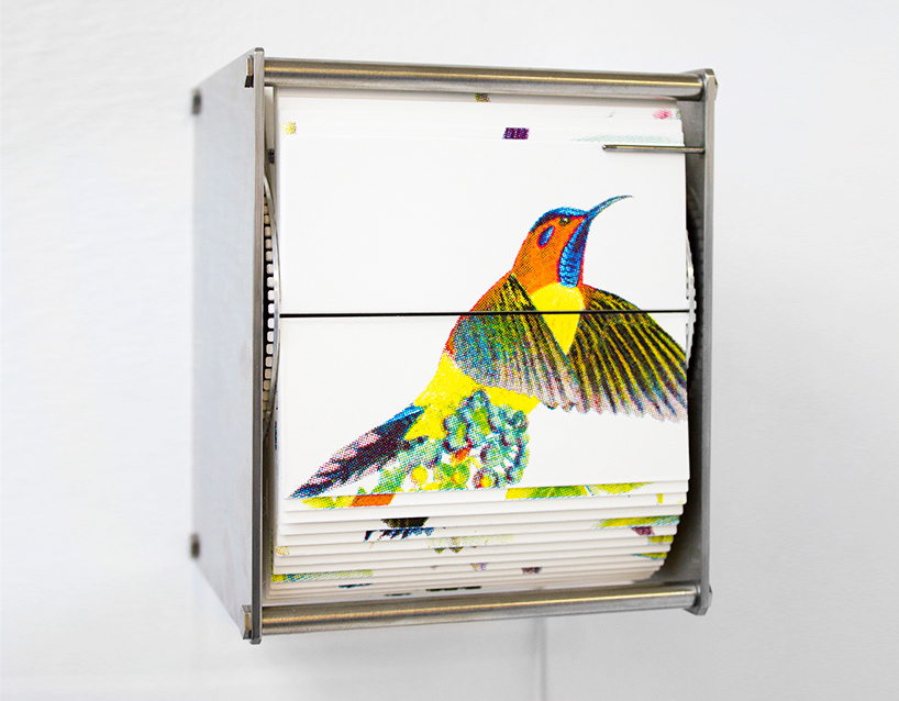 juan-fontanive-ornithology-danese-corey-designboom-01