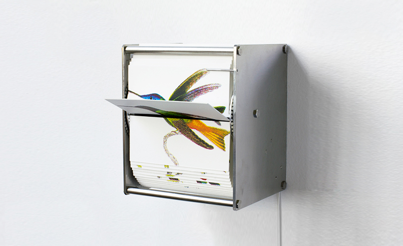 juan-fontanive-ornithology-danese-corey-designboom-02