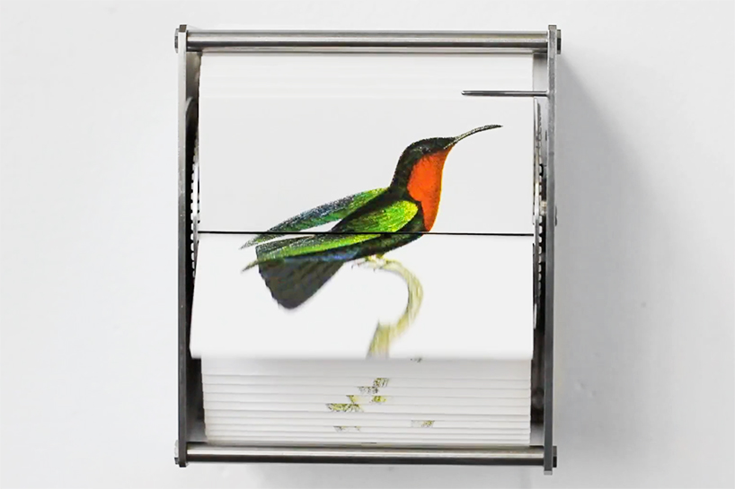 juan-fontanive-ornithology-danese-corey-designboom-03