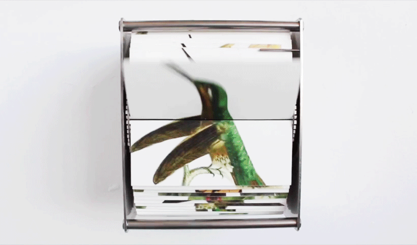 juan fontanive's motorized flipbooks animate fluttering butterflies + flying birds