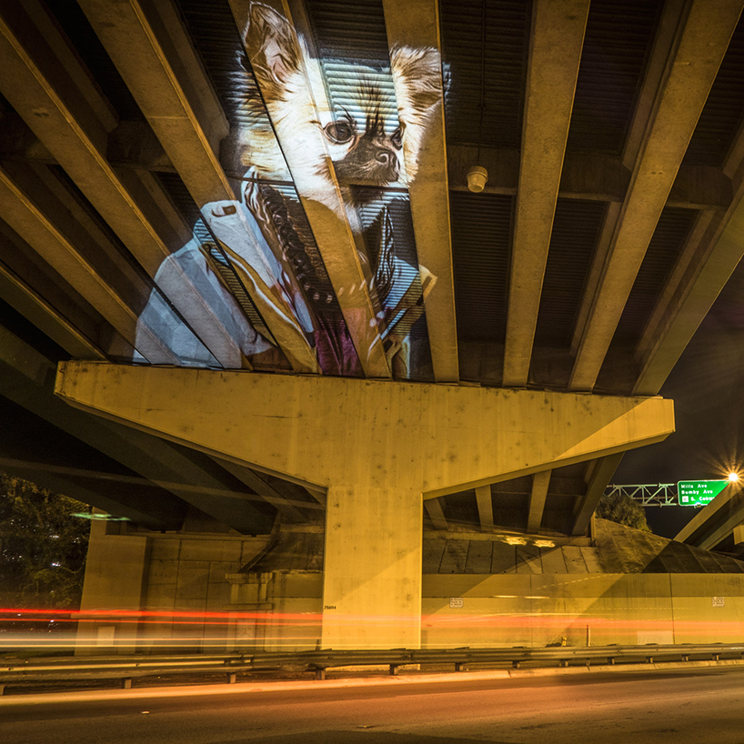 julien nonnon projects a digital street art safari across orlando architecture