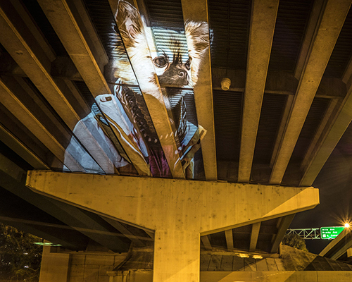julien nonnon projects a digital street art safari across orlando architecture
