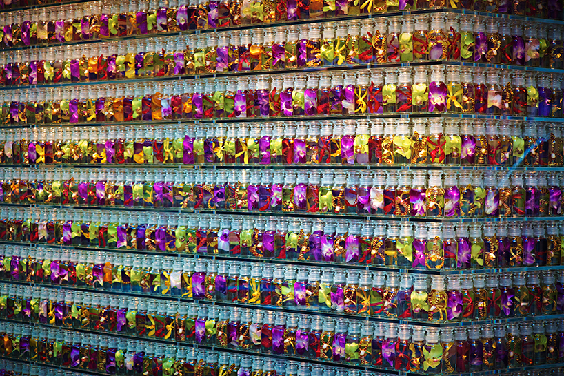 azuma makoto infills paris colette shop with 10,000 petal-filled jars