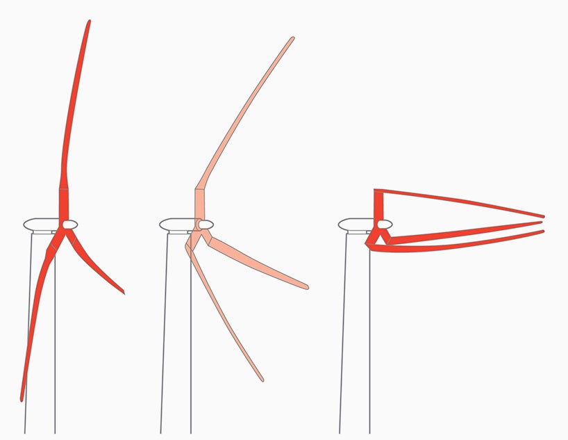 sandia labs references palm trees to design megascale +200 meter wind turbine blades