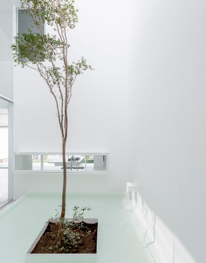 acparedesdesignboom04