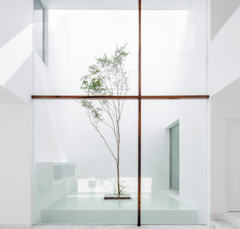 acparedesdesignboom09