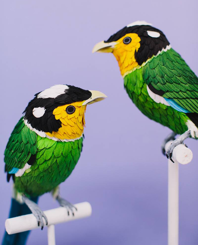 diana beltran herrera's paper aviary comprises hundreds of sculptural birds