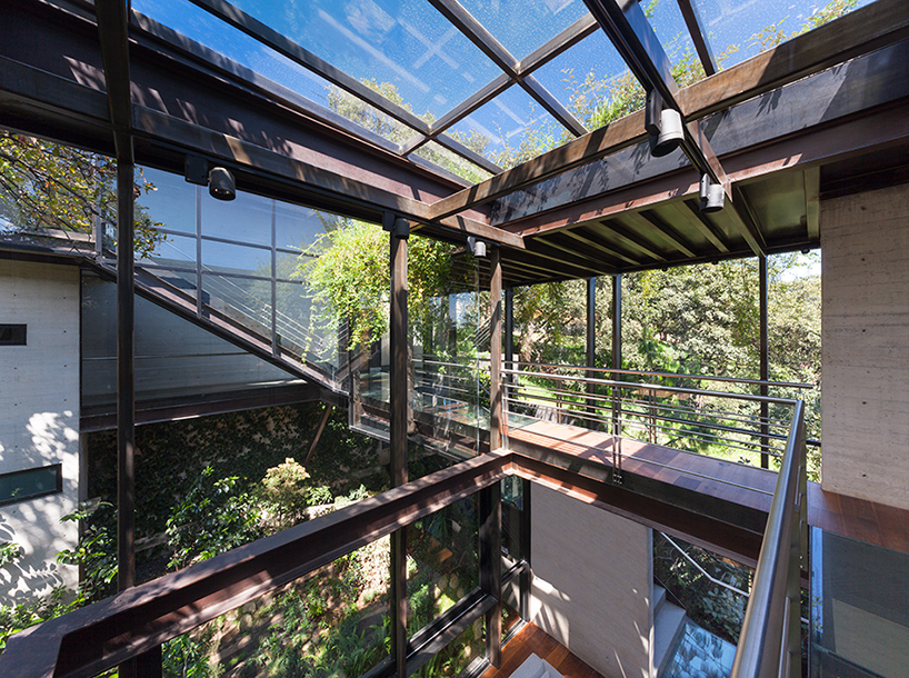 grupo arquitectura's house in the forest is connected with glass walkways
