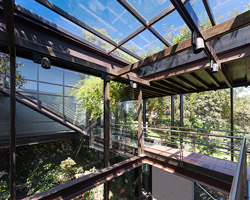 grupo arquitectura's house in the forest is connected with glass walkways