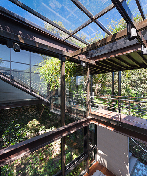 grupo arquitectura's house in the forest is connected with glass walkways