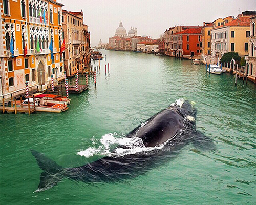 robert jahns' surreal scenes could only exist in our wildest dreams