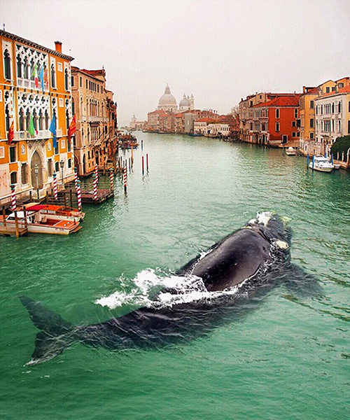 robert jahns' surreal scenes could only exist in our wildest dreams