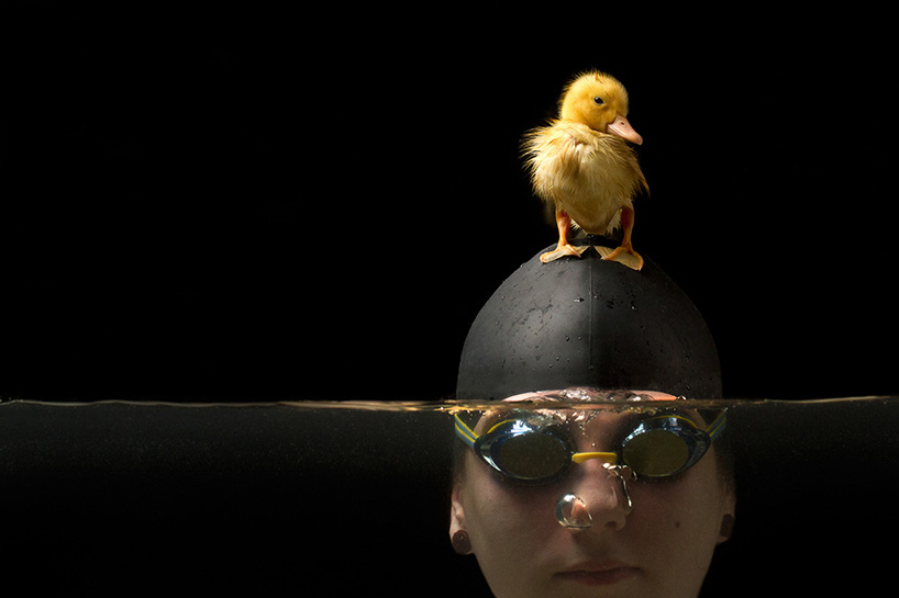 lauren fluffy juan osorio friendship series designboom