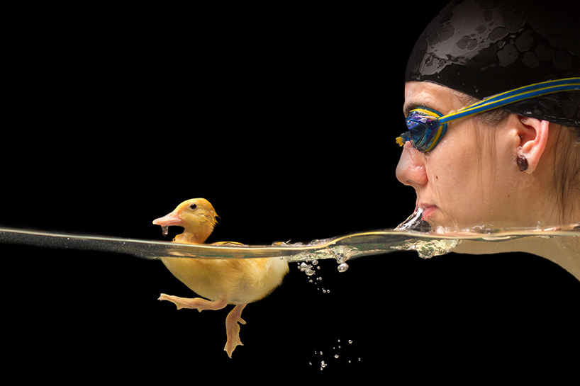 juanosoriodesignboom04