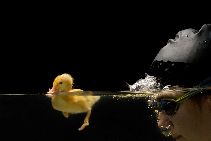 lauren fluffy juan osorio friendship series designboom