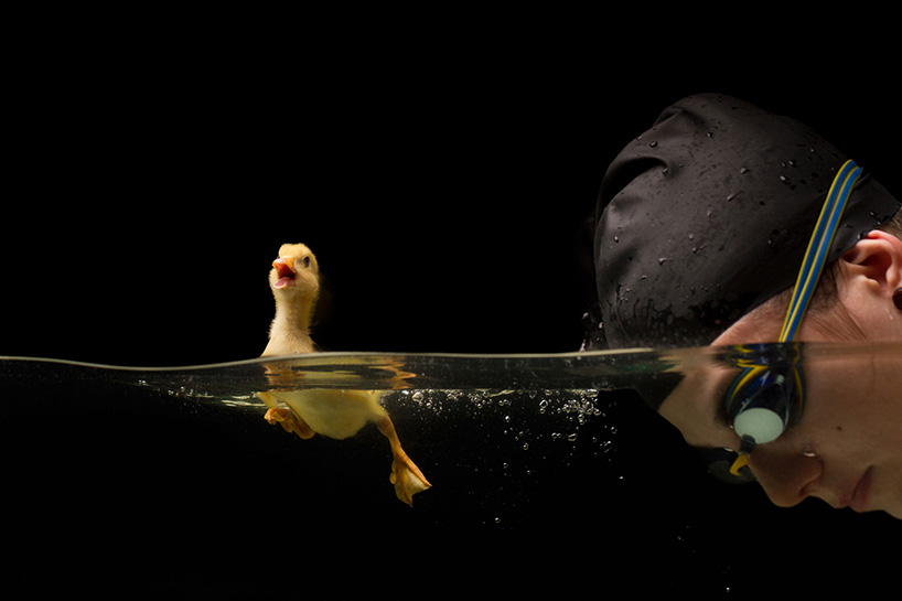 juanosoriodesignboom06