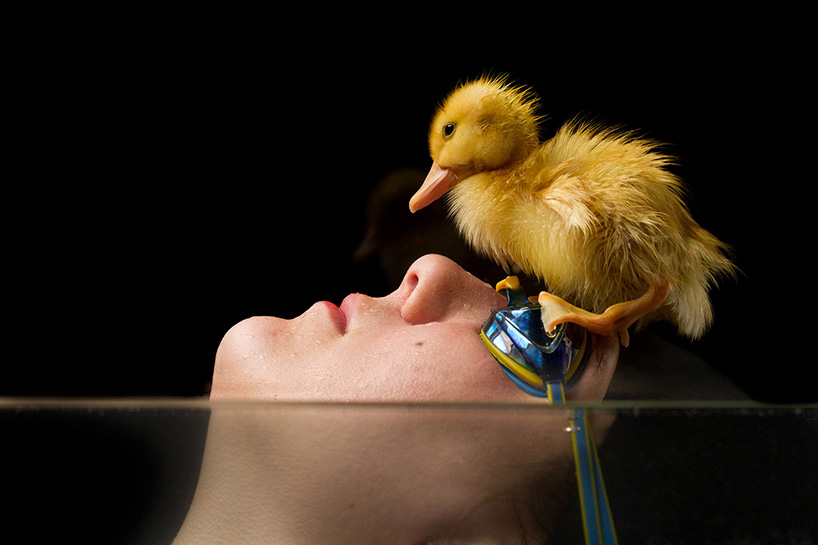 juanosoriodesignboom10