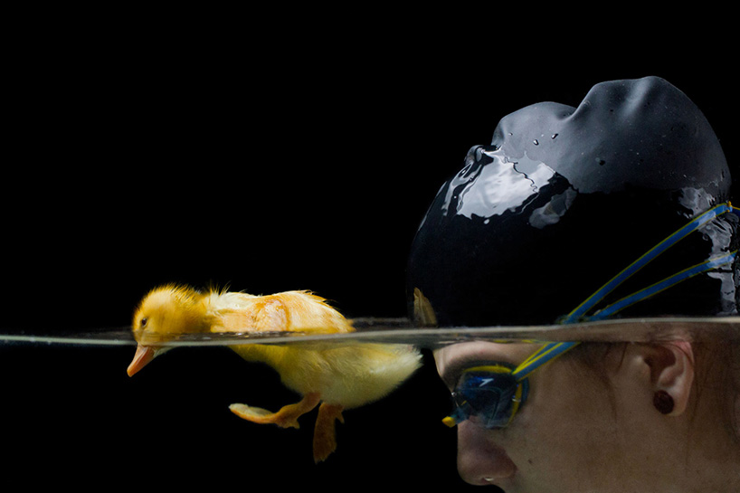 juanosoriodesignboom11