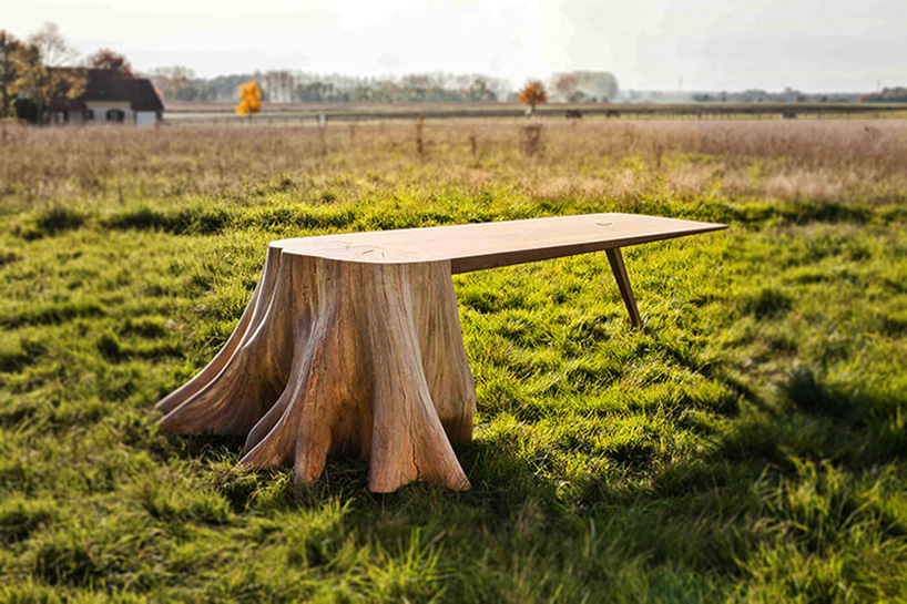 thomas de lussac uproots tree stump to form racine carré natural table